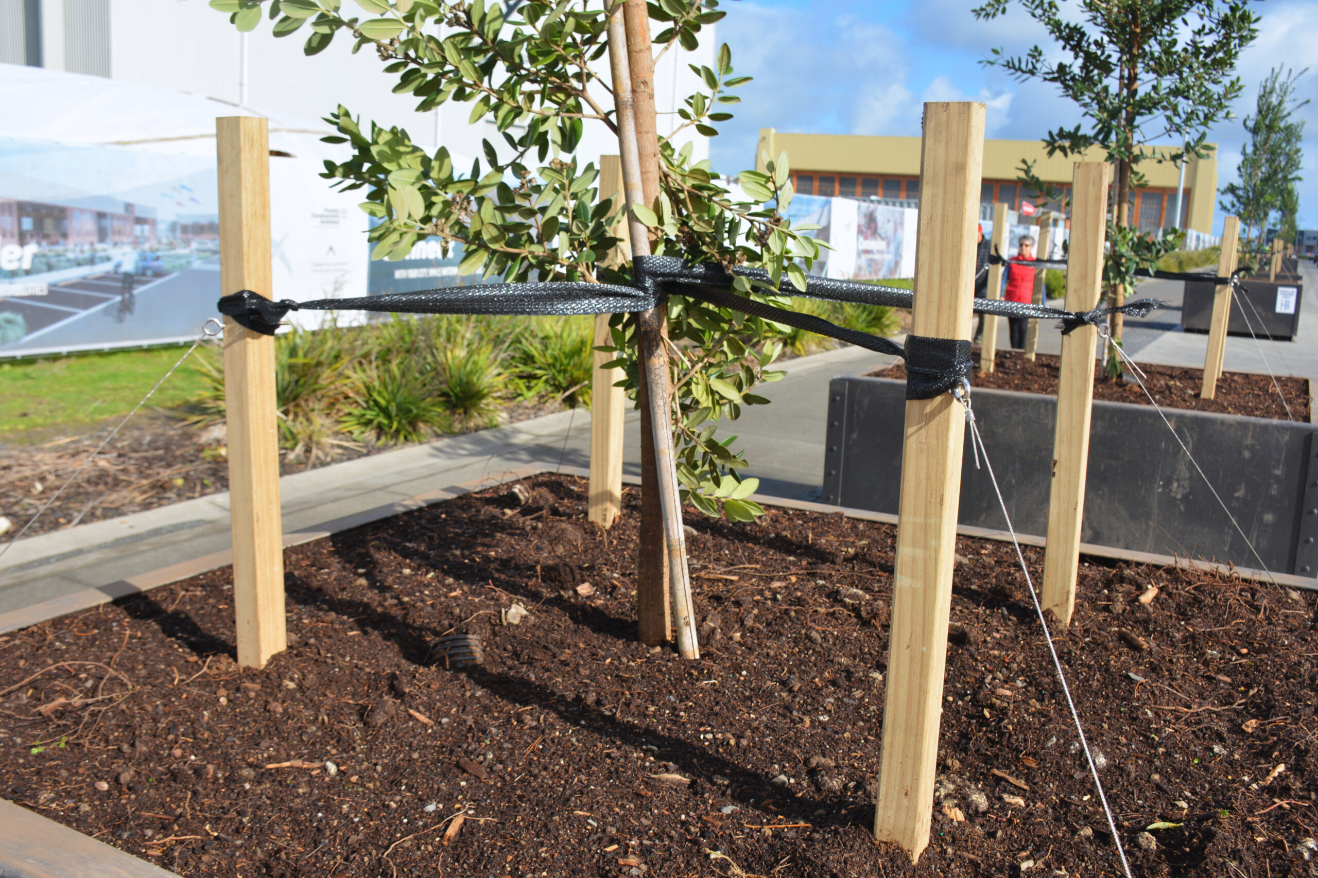 Launch Road Planter Boxes