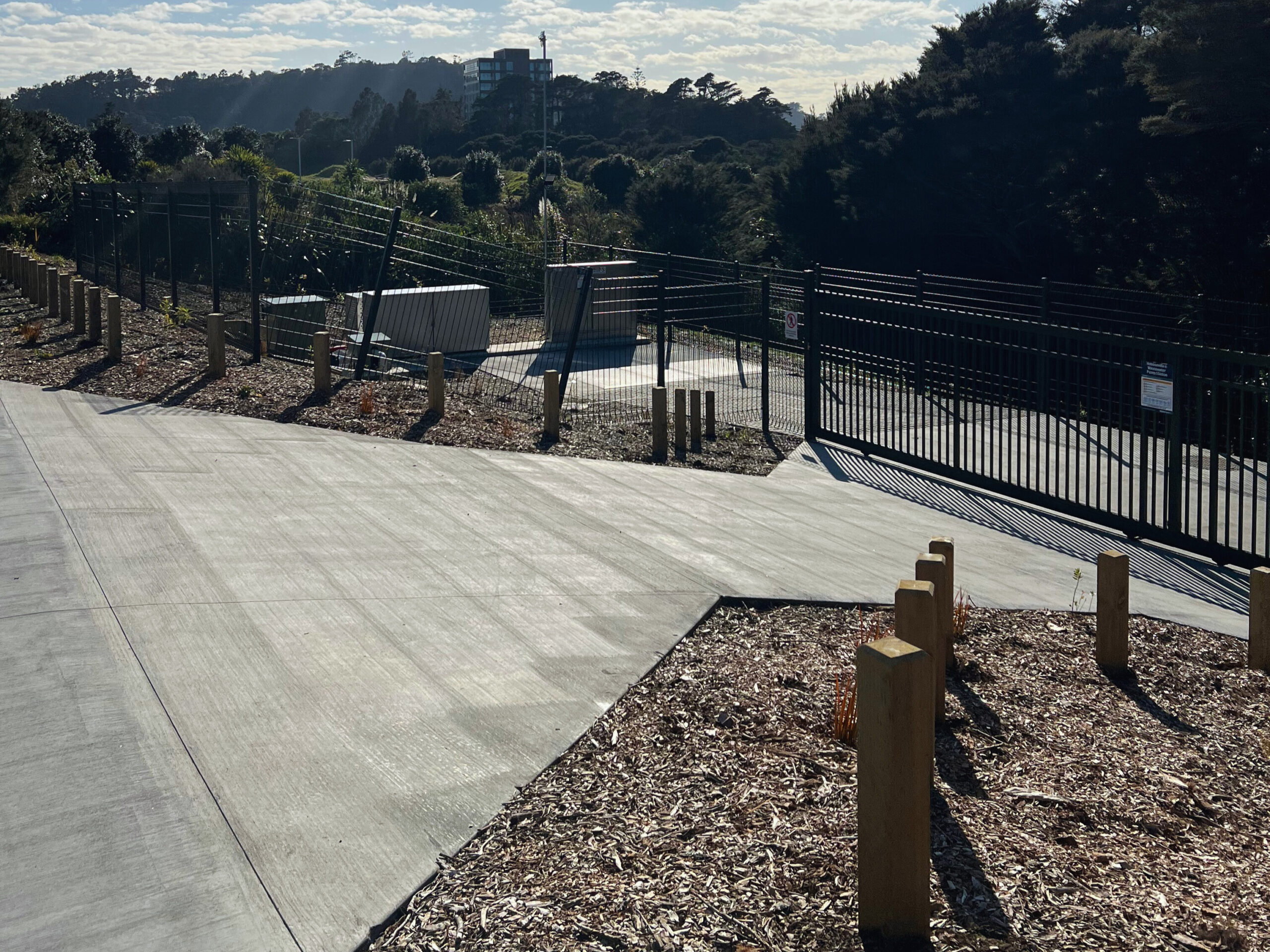 IMG_4507 - Edited - Edited - Edited