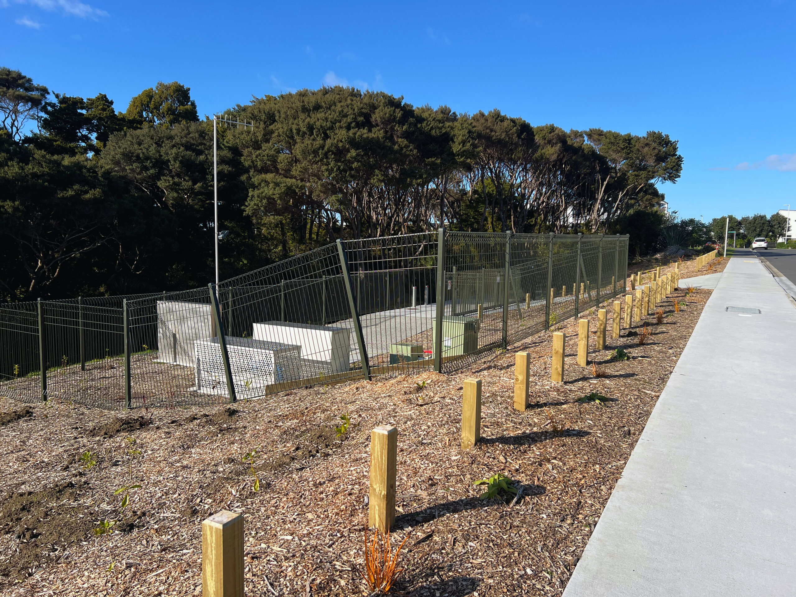 Photo 22-08-2025, 9 21 47 AM - Edited