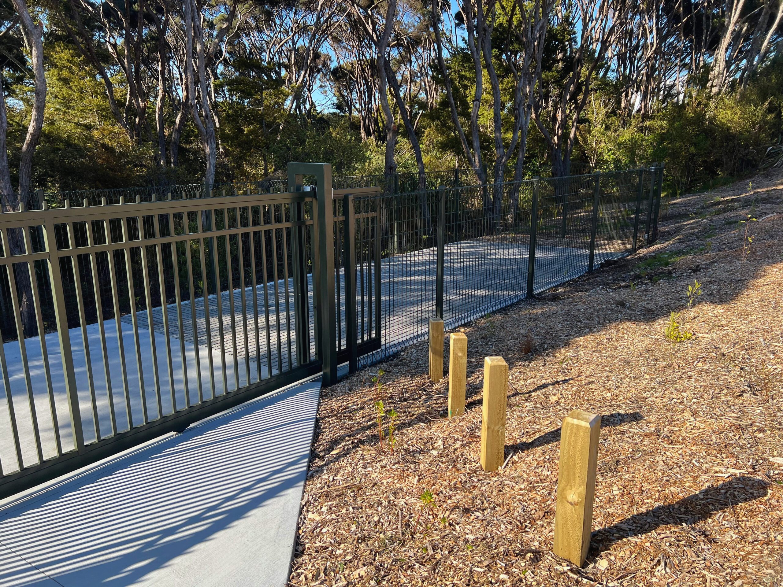 Photo 22-08-2025, 9 25 04 AM - Edited